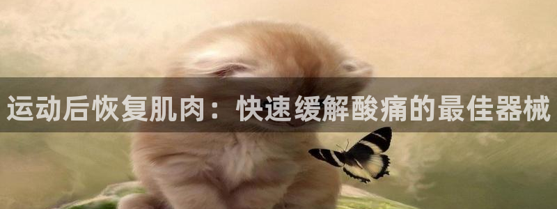 尊龙凯时有封银行卡的吗:运动后恢复肌肉:快速缓解酸痛的最佳器