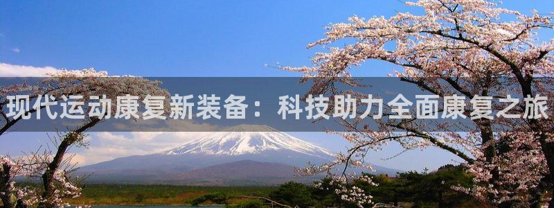 尊龙集团有限公司招聘:现代运动康复新装备:科技助力全面康复之